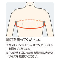 アルケア バストバンド・デラックス 女性用（右） 10561 1箱（1コ入）