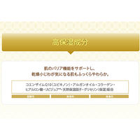 クリアターン 超濃厚保湿エイジングケアマスクEX 40枚入 大容量 乾燥 高保湿