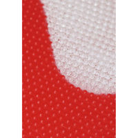 ゼット学校体育 足形マーク付プレート5枚組 赤 ZI034 1セット(5枚入×1)（直送品）