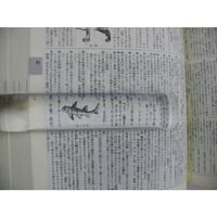 コンテック KONTEC まるごとルーペ 短 LP-25G 1個 574-3118（直送品）