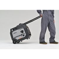 デイトナ インバーター発電機 DAYGENE3600 リモコン付き 55750 1台 666-8373（直送品）