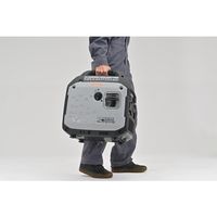 デイトナ インバーター発電機 DAYGENE2700e リモコン付き 55642 1台 666-8374（直送品）