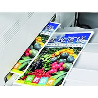 中川製作所 レーザープリンター専用耐水紙 ラミフリー B5 500枚 000337 1箱(500枚) 552-8152（直送品）