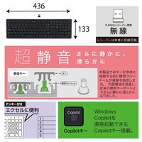 ナカバヤシ Copilotキー搭載　無線静音フルキーボード　テンキー付　ホワイト FKBーR249W 1個