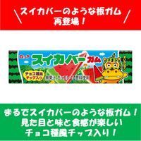 【アウトレット】ロッテ スイカバーガム 1セット（1個×5）