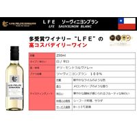チリ ルイスフェリペエドワーズ ソーヴィニョンブラン 白ワイン 辛口 250ml 1セット(1本×2) 三菱食品