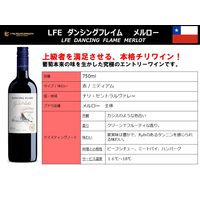 チリ ダンシングフレイム メルロー 赤ワイン ミディアムボディ 750ml 1セット(1本×2) 三菱食品