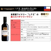チリ ルイスフェリペエドワーズ カベルネソーヴィニョン 赤ワイン ミディアムボディ 250ml 1セット(1本×2) 三菱食品