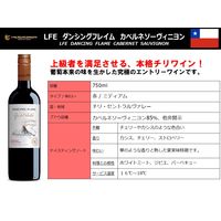 チリ ダンシングフレイム カベルネソーヴィニョン 赤ワイン ミディアムボディ 750ml 1セット(1本×2) 三菱食品