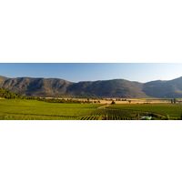 チリ ダンシングフレイム ソーヴィニョンブラン 白ワイン 辛口 750ml 1セット(1本×2) 三菱食品