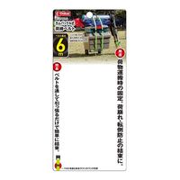 藤原産業 EーValue カムバックル式荷締ベルト 幅25mm 6m ライトグリーン BTー2560LG 1セット(6個)（直送品）