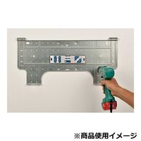 藤原産業 SK11 デバイスファジリティレベル 200mm DVCーFCL 1セット(2個)（直送品）