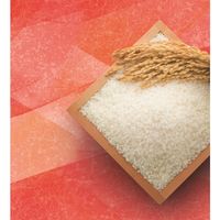 低温製法米 北海道産 ゆめぴりか 1.5kg(2合×5袋) 無洗米 令和7年産 個包装 アイリスフーズ 米