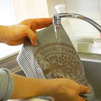 e.oct スポンジワイプ エコフレンドリー水切りBR/GY 350051 1個