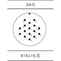 第一電子工業 MS非防水丸形 ウォールレセプタクル ハンダ付け結線用コネクタ オス 16芯 D/MS3100A24-5P 1個（直送品）