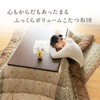 イケヒコ レイエル 掛布団 ブラウン 205×205cm 1161010060103 1個（直送品）