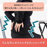 イケヒコ フィース その他 ブラック 40×40cm 1212080038501 1個（直送品）