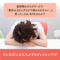 イケヒコ フィース その他 ブラック 45×30cm 1212080038601 1個（直送品）