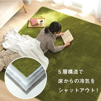 イケヒコ レイヤー キルトラグ 2400×2000mm グリーン 1292641126401 1枚（直送品）