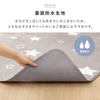 イケヒコ レイ 防水ラグ 1800×1800mm ネイビー 1293430184902 1枚（直送品）