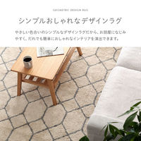 イケヒコ ポラロ 柄ラグ 2400×1900mm アイボリー 1340970142003 1枚（直送品）