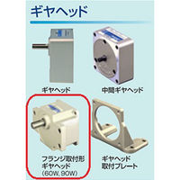 住友重機械工業　ASTERO/アステロ　ギヤヘッド　G9C20KH　1台（直送品）