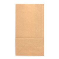 NF耐油角底袋 No.4 未晒無地 1袋（100枚入）