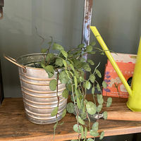 【園芸用品】Do LABO ブリキポット ダブルハンドル12 42987 1個