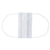 川西工業 使い捨てマスク #7040 新 フレッシュマスク 2PLYオーバーヘッド100枚入 00732017 1ケース(30個)（直送品）