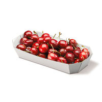 クラウンパッケージ フルーツ容器 SH-1 00740593 1ケース(600個(25個×24))（直送品）