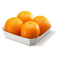 クラウンパッケージ フルーツ容器 SH-3 00776830 1ケース(400個(25個×16))（直送品）