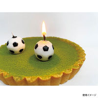 カメヤマ 贈答用飾り サッカーボール3個入 B5522-00-20 1ケース(120個(10個×12))（直送品）