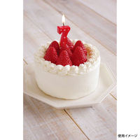 カメヤマ 贈答用飾り ナンバーキャンドル スター 7番 レッド B7539-07-07RE 1ケース(120個(10個×12))（直送品）