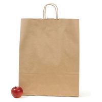 パックタケヤマ 紙手提袋 自動手提袋 HV140 未晒 無地 XZT00876 1ケース(200個(50個×4))（直送品）