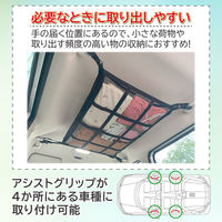 アストロ 車の天井収納ネット 607-55 1個（直送品）