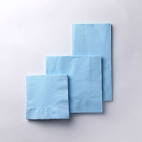 溝端紙工印刷 8ツ折ナフキン LUC-28 カラー2プライナプキン8折 ブルー 01 1ケース(2000個(50個×40))（直送品）