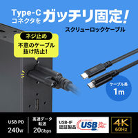 サンワサプライ USB20Gbps TypeーCケーブル（シングルスクリューロック・240W）  1本