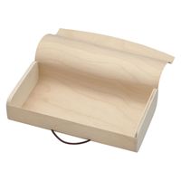 アサヒグリーン 木製容器 白樺ケース 5401 1ケース(100個)（直送品）
