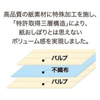 角田紙業 紙おしぼりクリールL 平 467906 1袋(100個)（直送品）