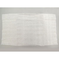 DNコーポレーション 紙おしぼり 新紙エンボスおしぼり 白 丸型 乳白 O-110-3 1袋(100個)（直送品）