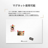 アスカ 抗菌ホワイトマグネットシート 暗線入り LL AWM08 1ケース(12個)（直送品）