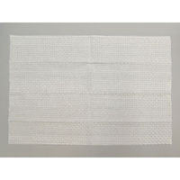 UE33798 紙おしぼり 新紙エンボスおしぼり 白 平型 乳白 DNコーポレーション O-120-3 1ケース(2500個(100（直送品）