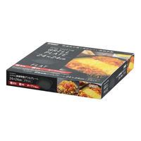 パール金属 調理器具 スプラウト 鉄鋳物製グリルプレート24×24cm(フラット) HB-6219 1袋（直送品）