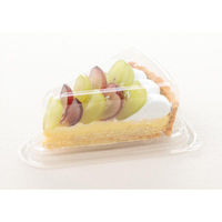 リスパック バイオ デルタ 6-55 OC (1/10) PBSD053 1ケース(900個(50個×18))（直送品）