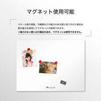 アスカ 抗菌ホワイトマグネットシート M AWM01 1ケース(20個)（直送品）