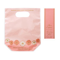 ヘッズ シェリーデイジーＰＰスタンドバッグー２（３０枚） DSY-OSB2 1セット(1袋(30枚入)×20)