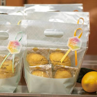 ヘッズ ラメールジップ付バッグーＳＳ冷凍可（３０枚） LMR-NZSS 1セット(1袋(30枚入)×20)