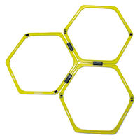 FALCON(ファルコン) トレーニング ウォーミングアップ ラダーハードルマルチセット イエロー×ブラック PWF053 1個（直送品）