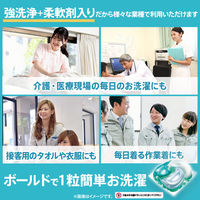 ボールド ジェルボール4D 爽やかフレッシュフラワーサボン 本体 1個（11粒入） 洗濯洗剤 P＆G【旧品】