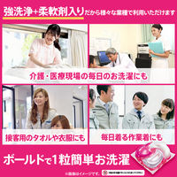 ボールド ジェルボール4D プレミアムブロッサムの香り 本体 1個（11粒入） 洗濯洗剤 P＆G【旧品】